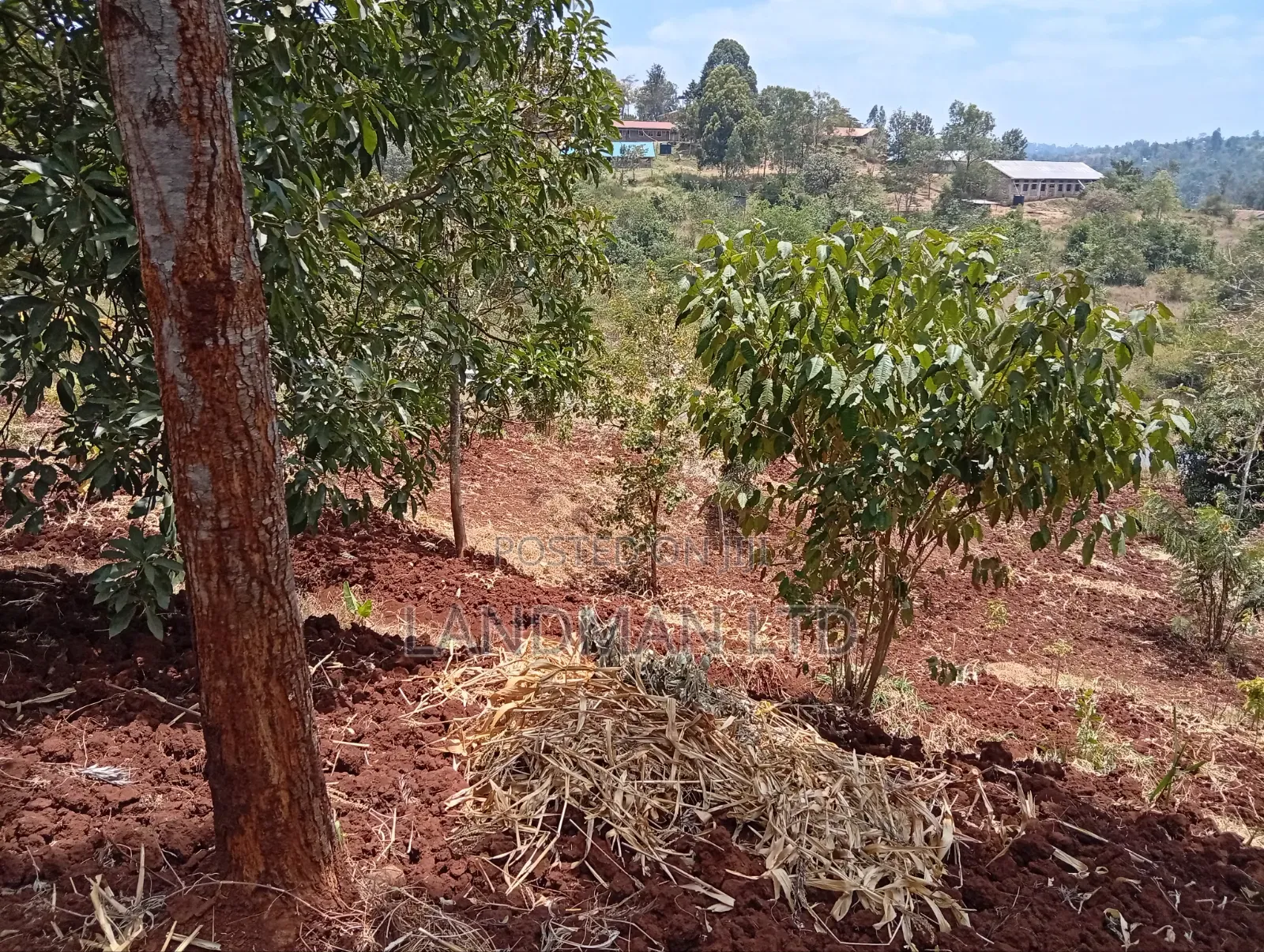 Prime 3/4 Acre Commercial Plot for Sale – Kenol Karugia in Kimorori/Wempa