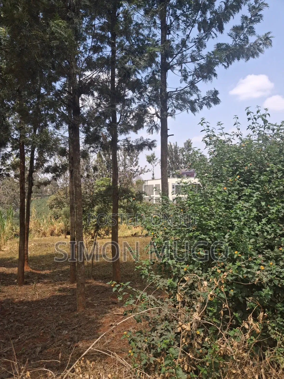 Kiambu Road Opposite Kist Off Njathaini Rd Prime 1/2ac in Thindigua/Kasarini