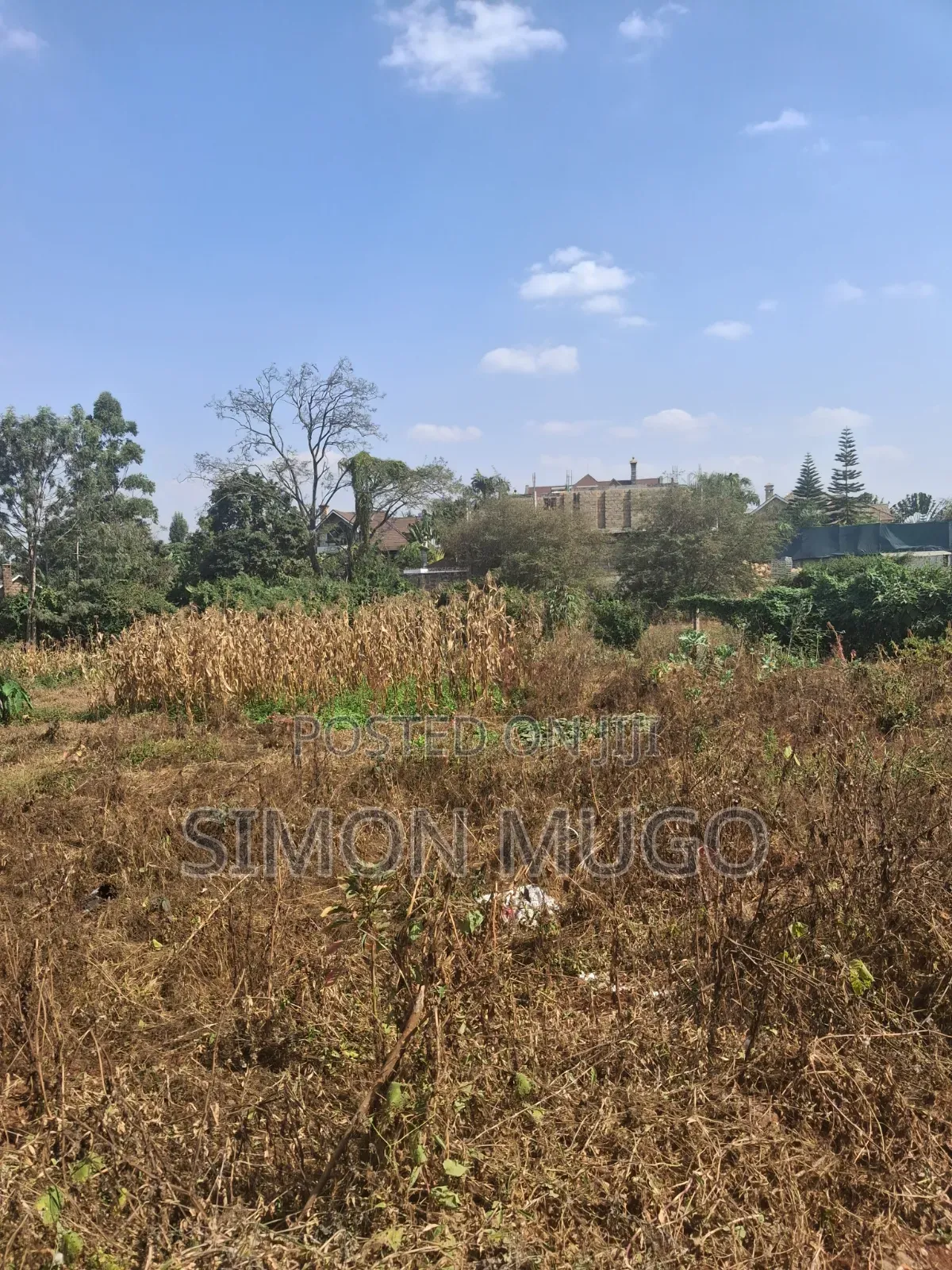 Mushrooms Gardens Kiambu Road Prime Secure Fully Serviced 1/2 Acre in Thindigua/Kasarini