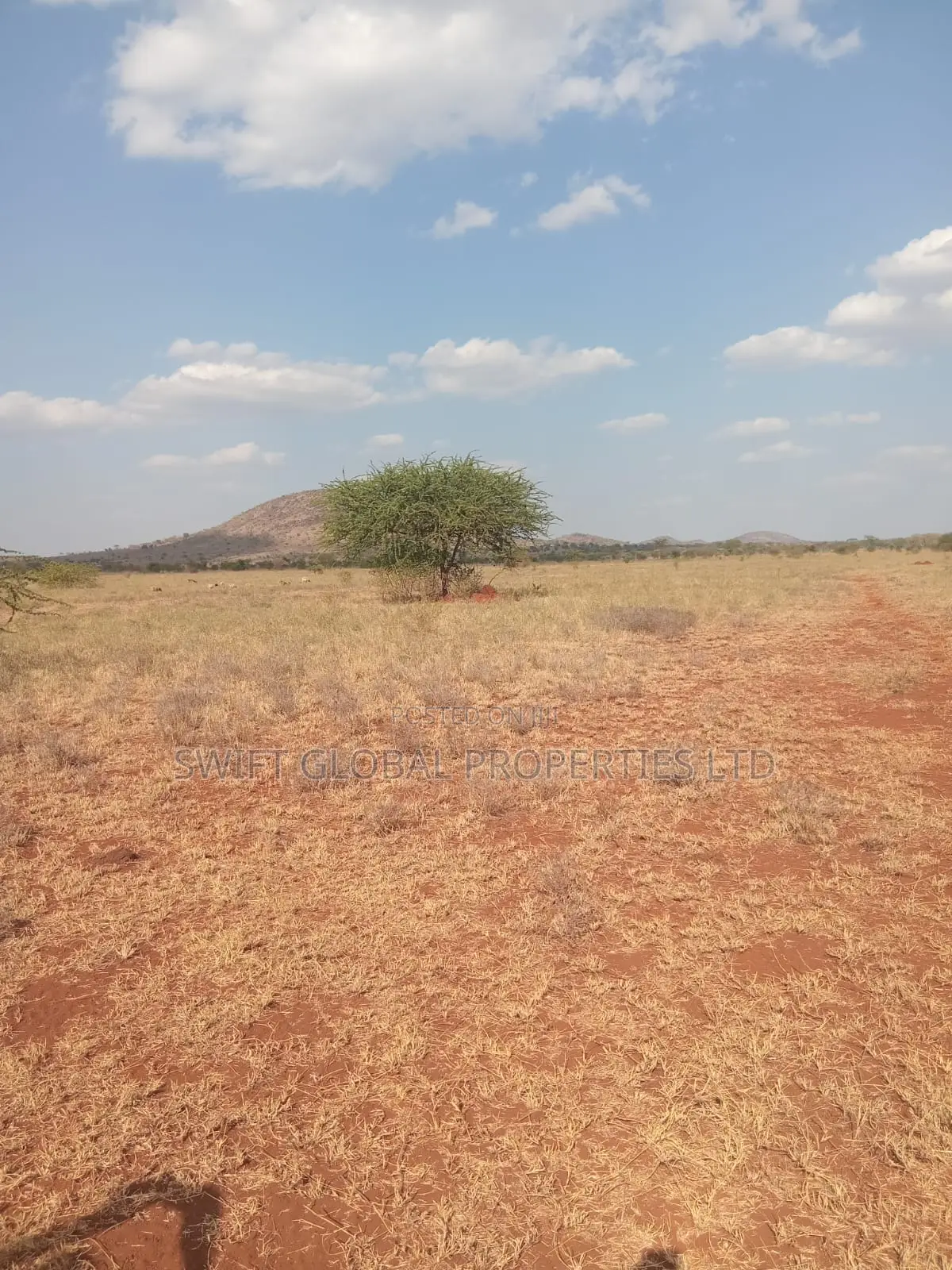 240 Acres in Emali Town Mombasa Road Is Available for Sale in Kenyawa-Poka