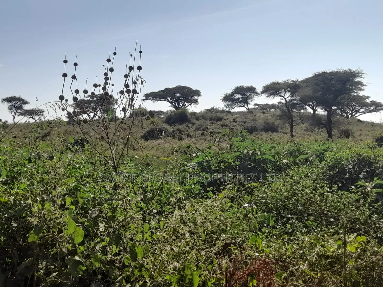 120 Acres Is Available for Sale in Bisil Kajiado County in Bisil