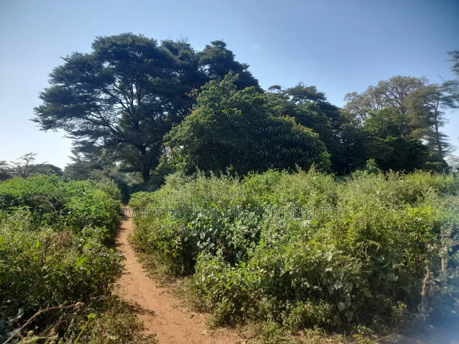 120 Acres Is Available for Sale in Bisil Kajiado County in Bisil