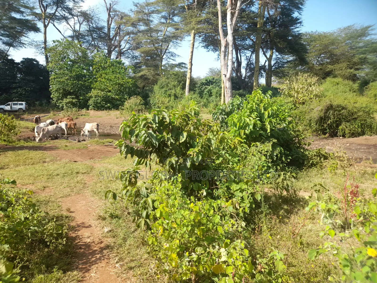 120 Acres Is Available for Sale in Bisil Kajiado County in Bisil