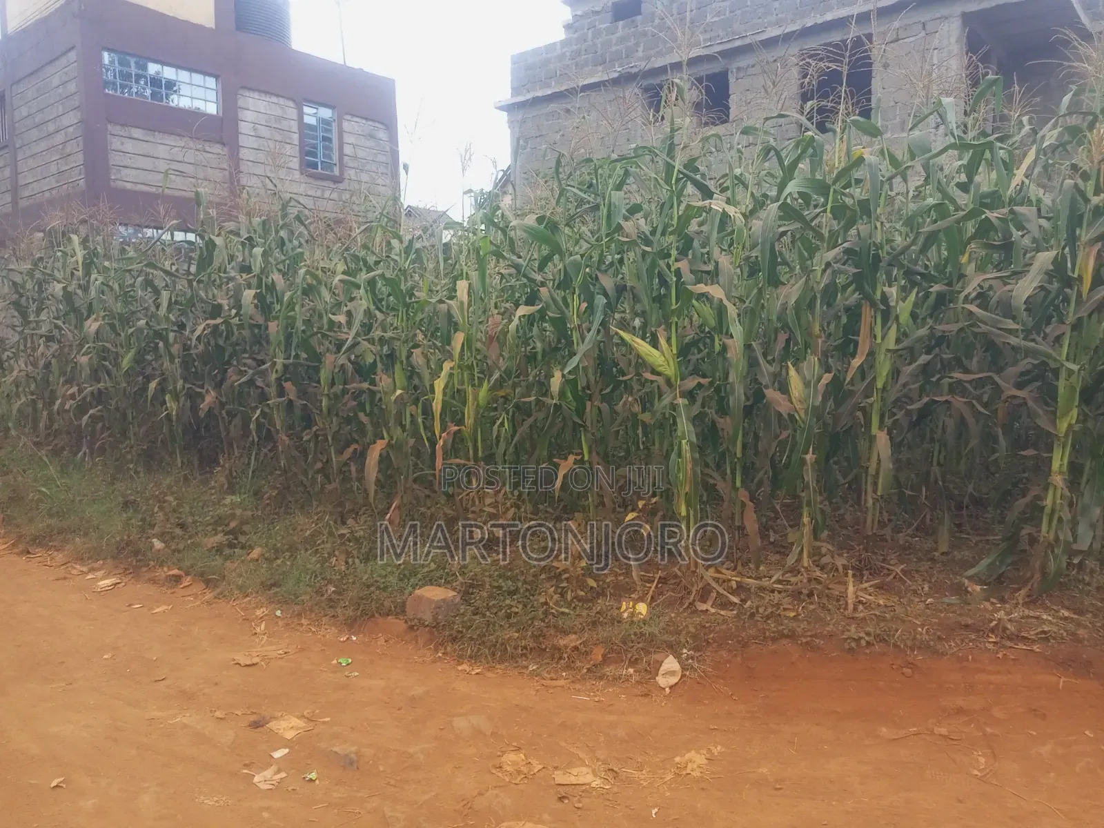 Riverside Estate ( Kenyatta Road) in Kenyatta Road / Theta