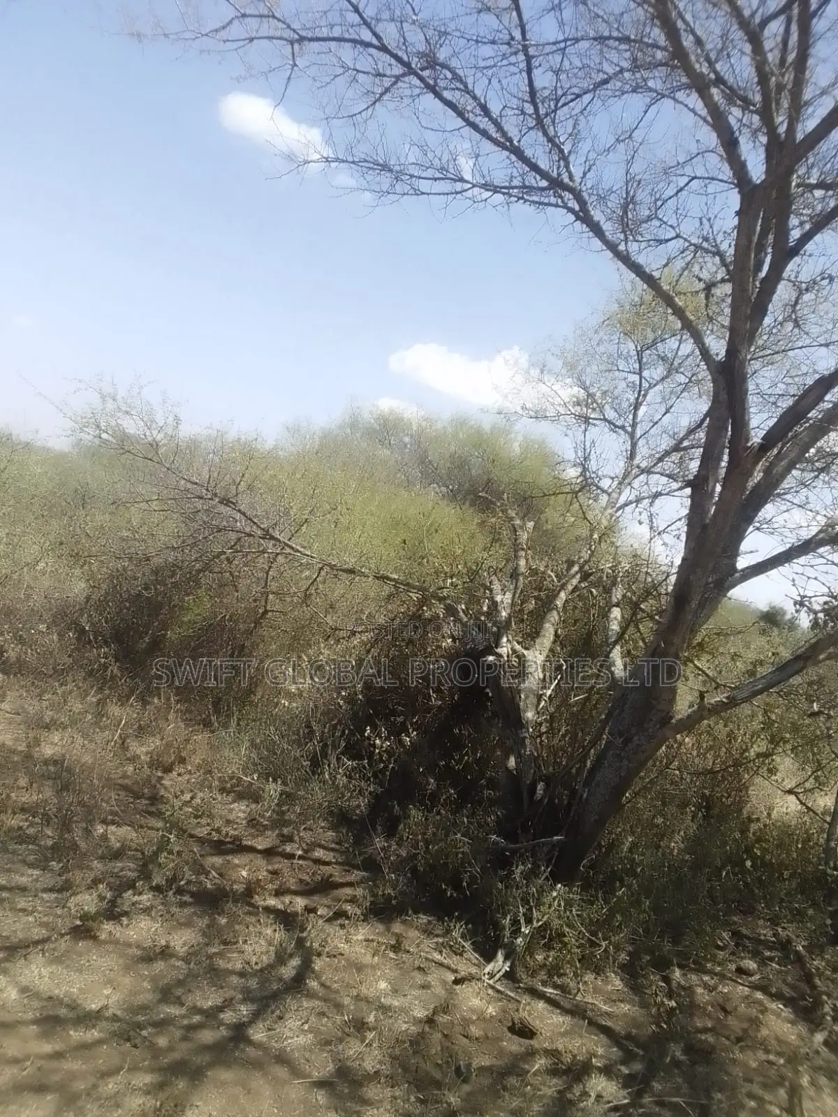 2000 Acres Are Available for Sale in Kajiado Mailua Town in Matapato South