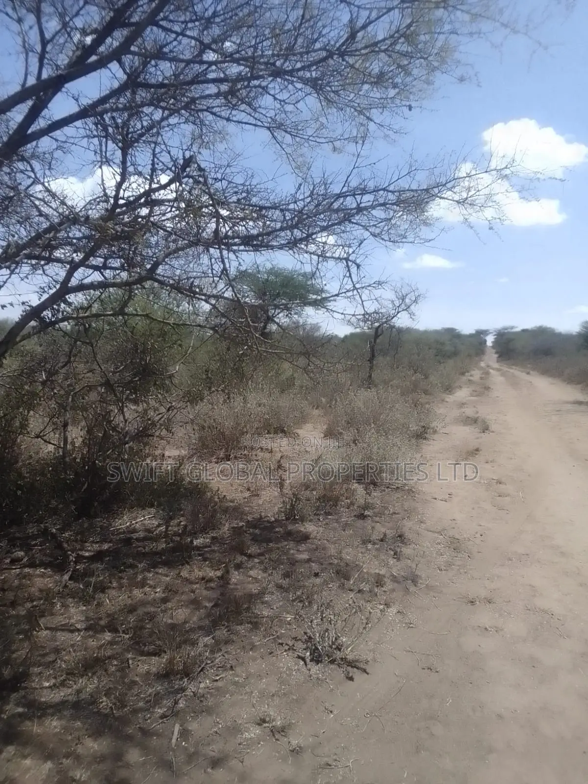 2000 Acres Are Available for Sale in Kajiado Mailua Town in Matapato South