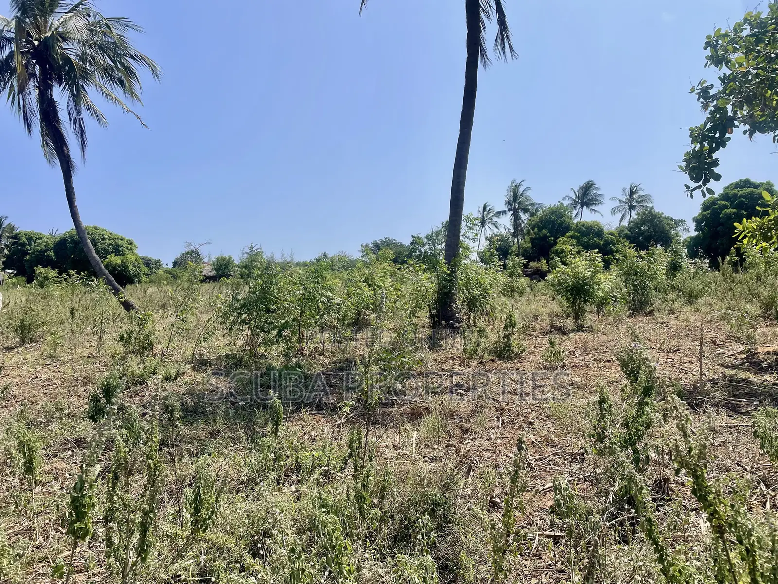 Prime Quarter-Acre Plot for Sale in Kizingo – Invest in the Future in Gede