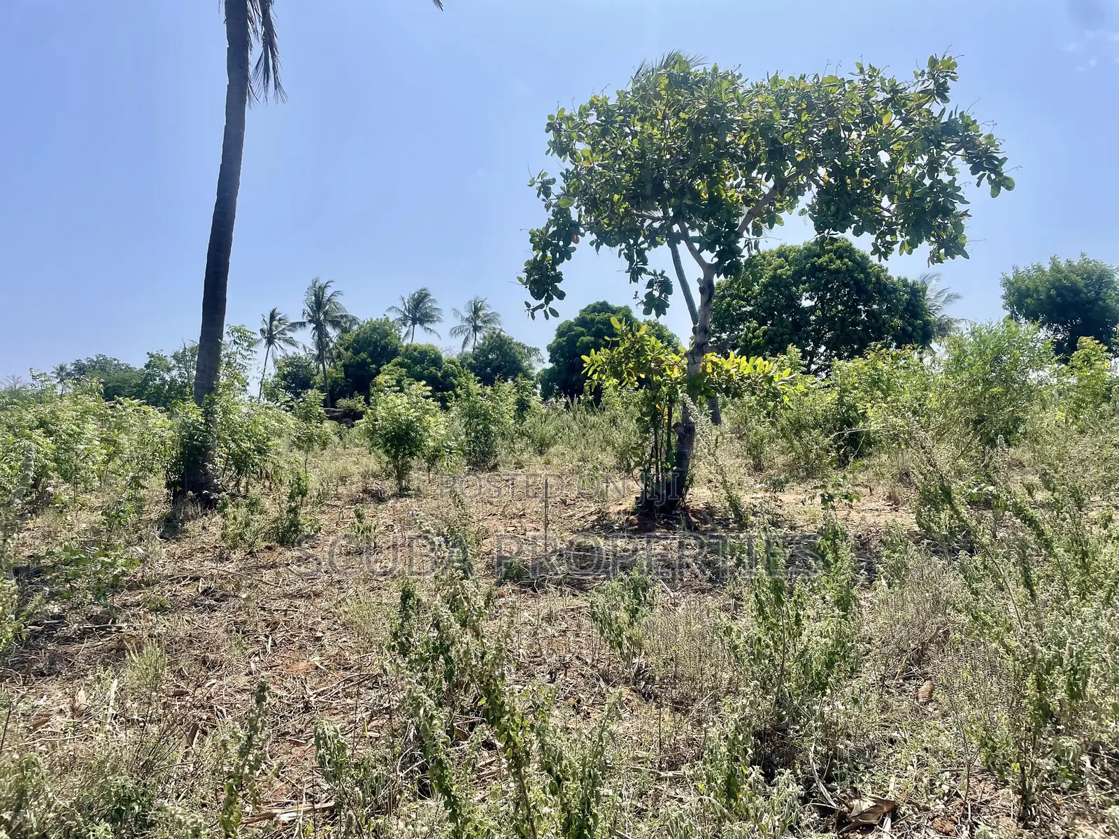 Prime Quarter-Acre Plot for Sale in Kizingo – Invest in the Future in Gede