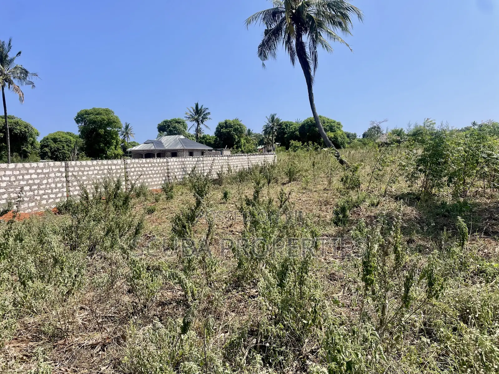 Prime Quarter-Acre Plot for Sale in Kizingo – Invest in the Future in Gede
