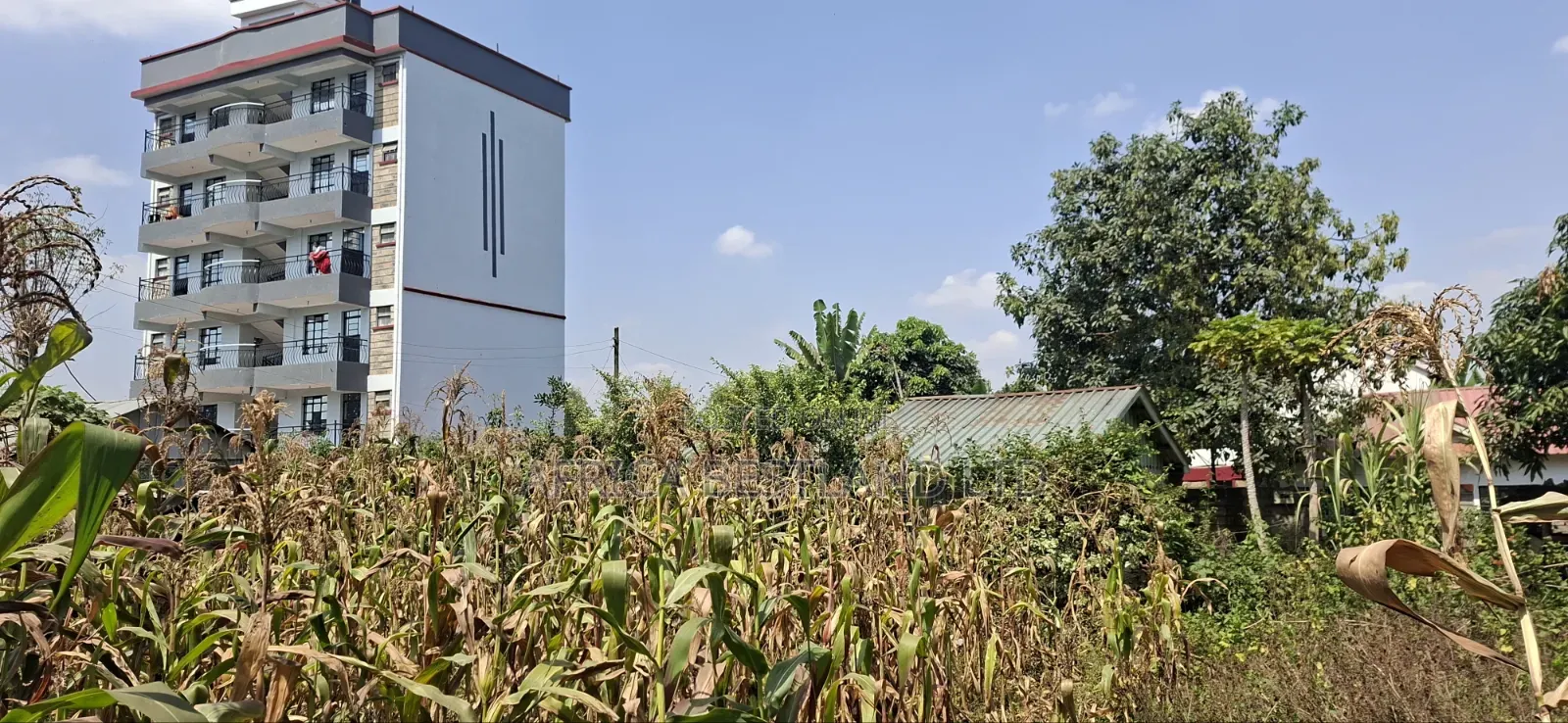 75×100 Plot for Sale – Kabete Gathiga in Gathiga