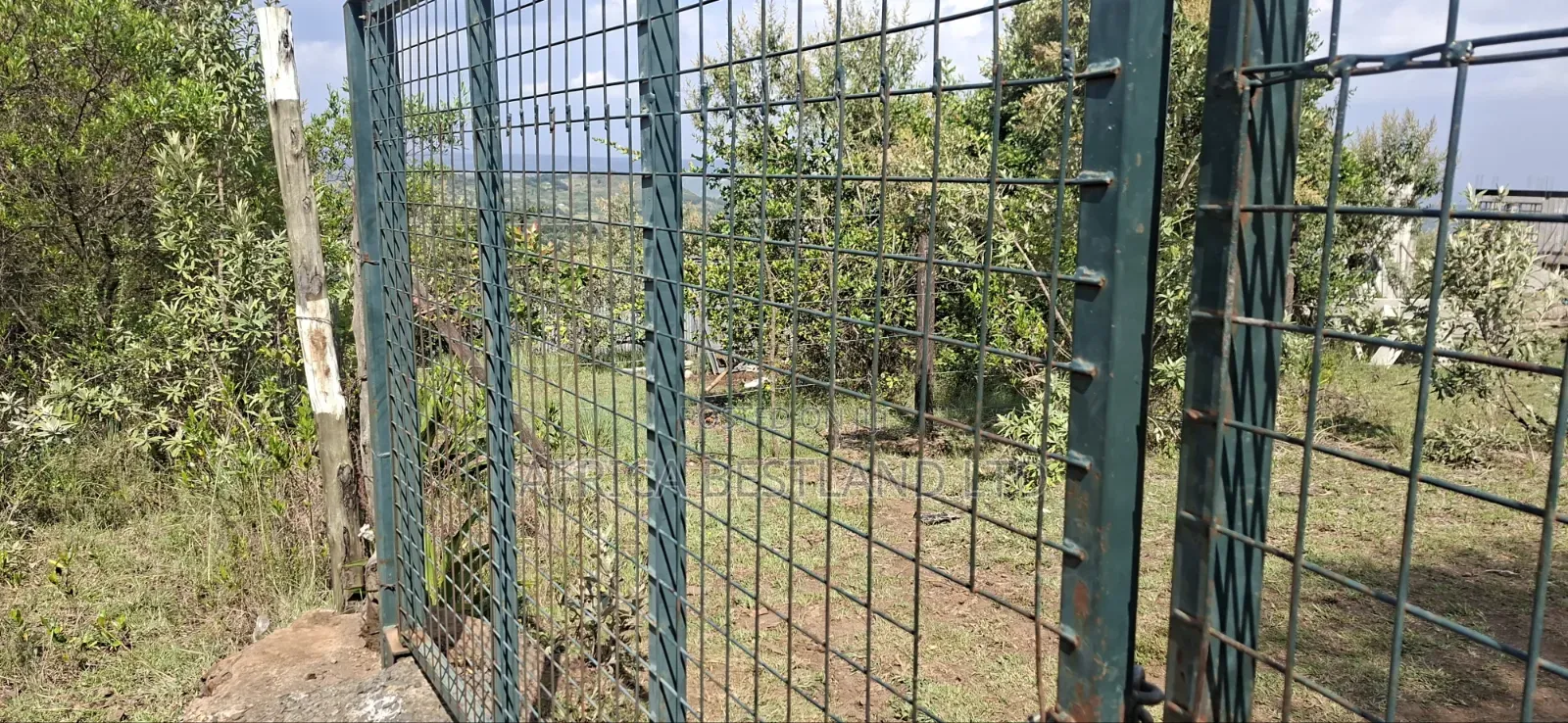 21 Acres Prime Land for Sale – Ragemore, Gilgil, Nakuru County in Karunga