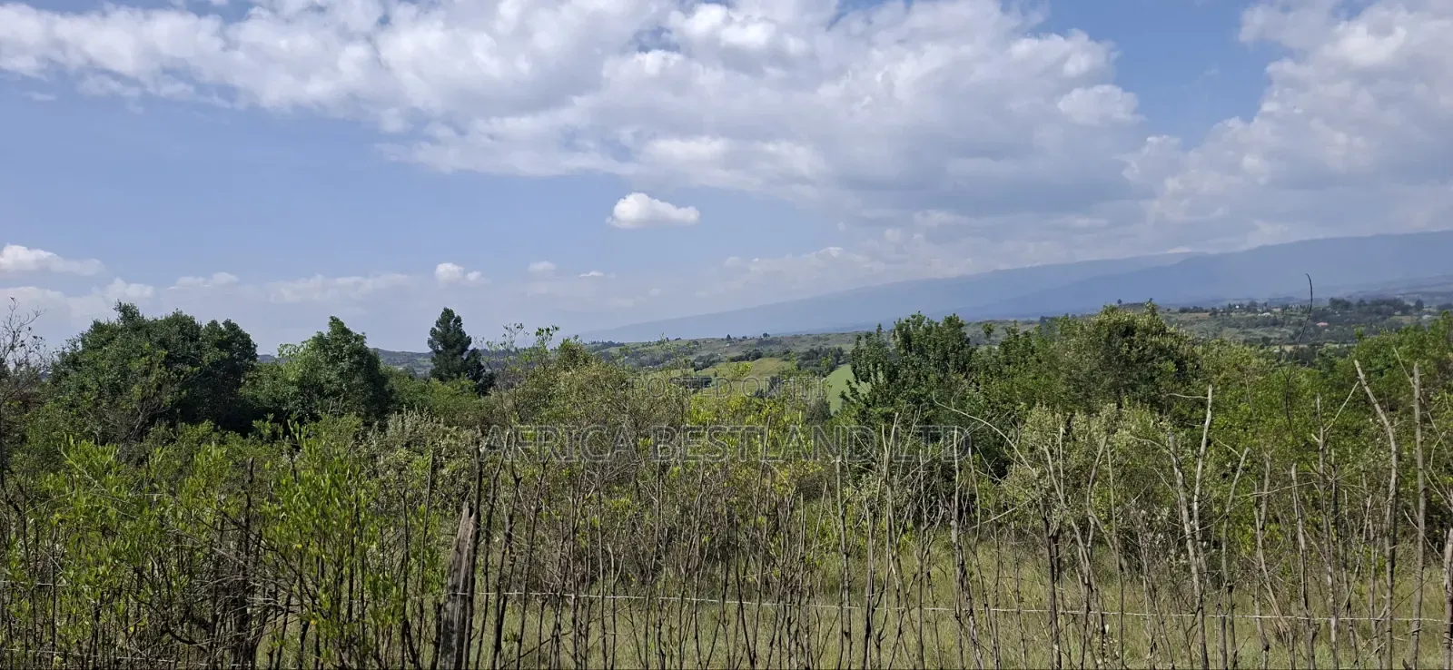 21 Acres Prime Land for Sale – Ragemore, Gilgil, Nakuru County in Karunga