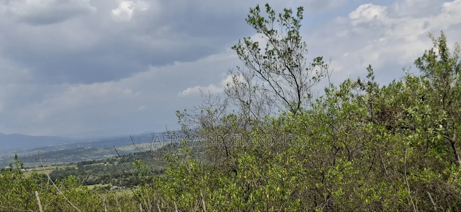 21 Acres Prime Land for Sale – Ragemore, Gilgil, Nakuru County in Karunga