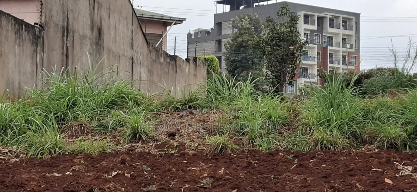 50×100 Residential Plot for Sale – Thogoto, Kikuyu in Thogoto