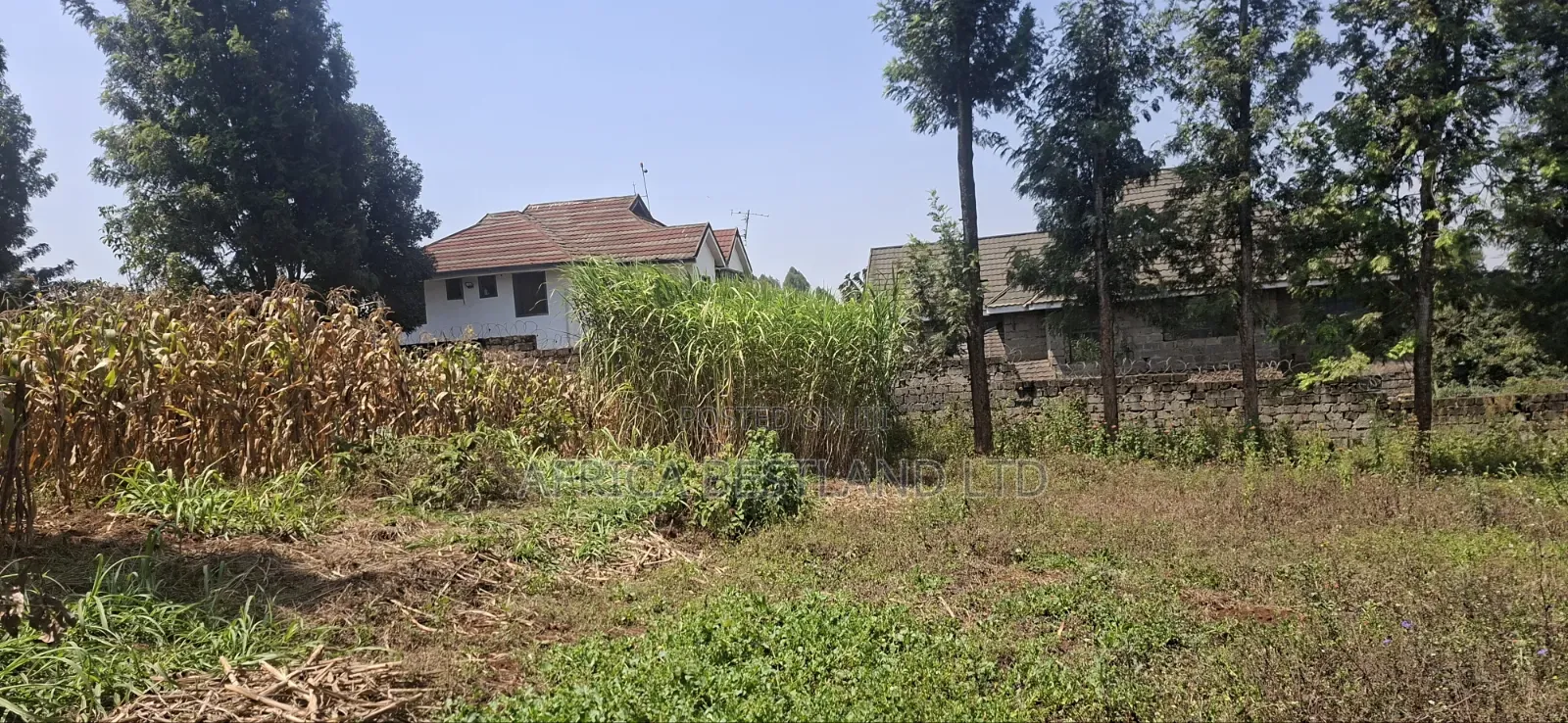 1⁄2 Acre Land for Sale – Kikuyu Thamanda, Muguga | in Muguga