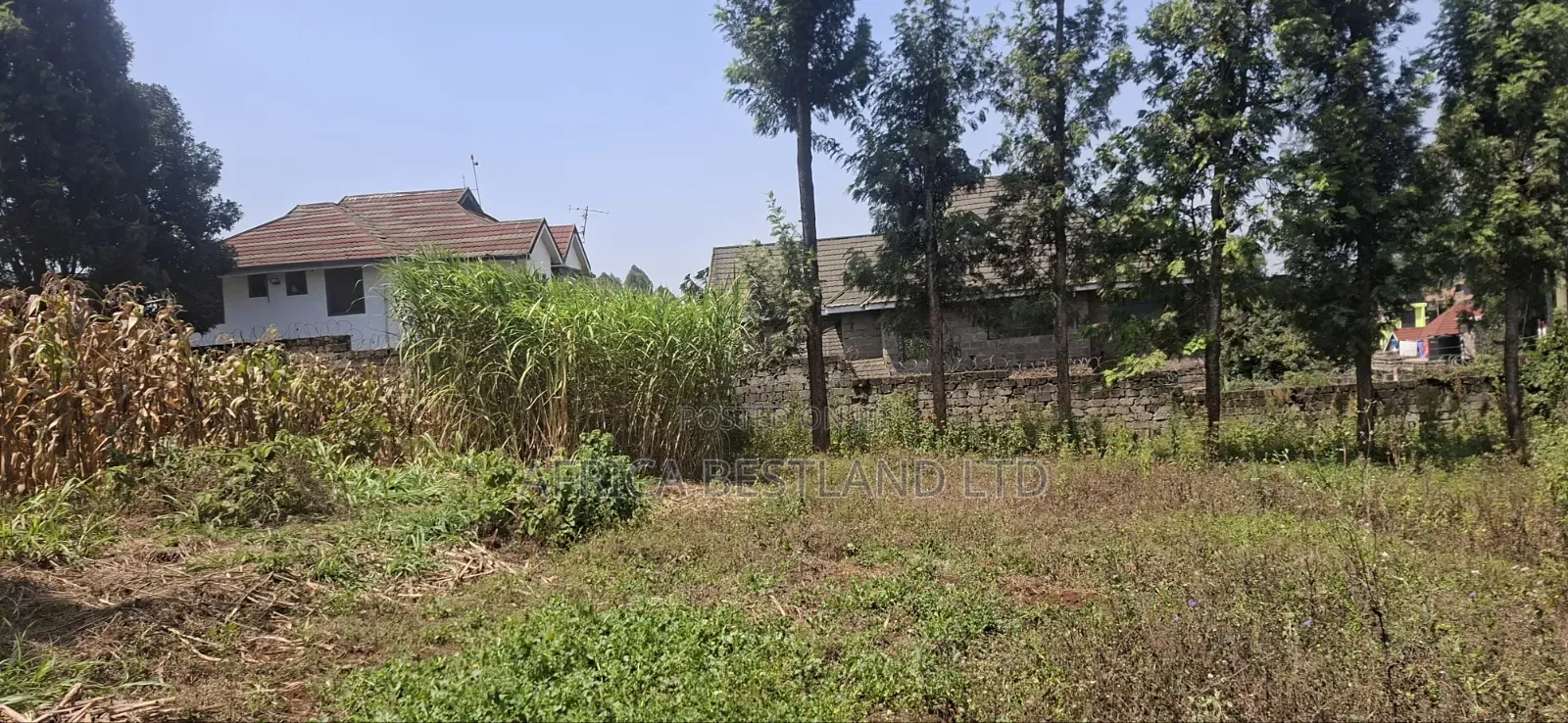 1⁄2 Acre Land for Sale – Kikuyu Thamanda, Muguga | in Muguga