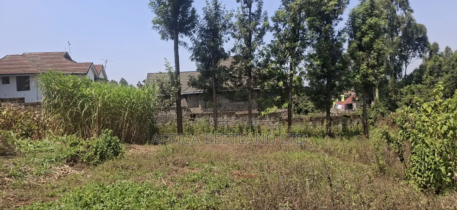 1⁄2 Acre Land for Sale – Kikuyu Thamanda, Muguga | in Muguga