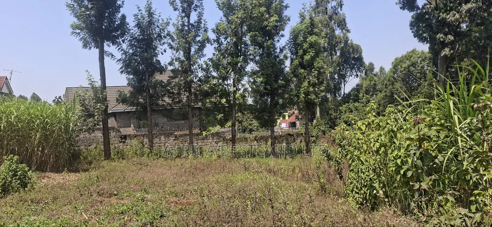 1⁄2 Acre Land for Sale – Kikuyu Thamanda, Muguga | in Muguga