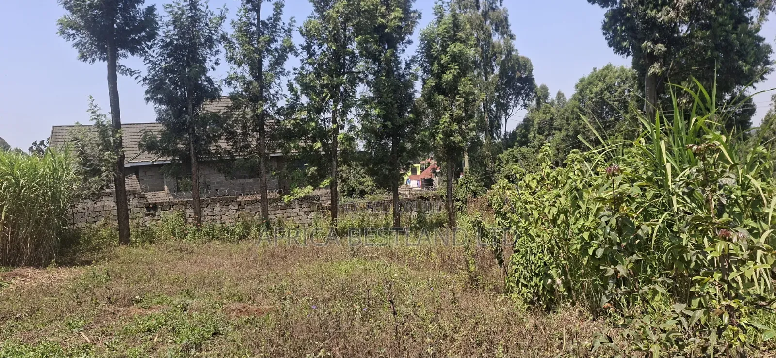 1⁄2 Acre Land for Sale – Kikuyu Thamanda, Muguga | in Muguga