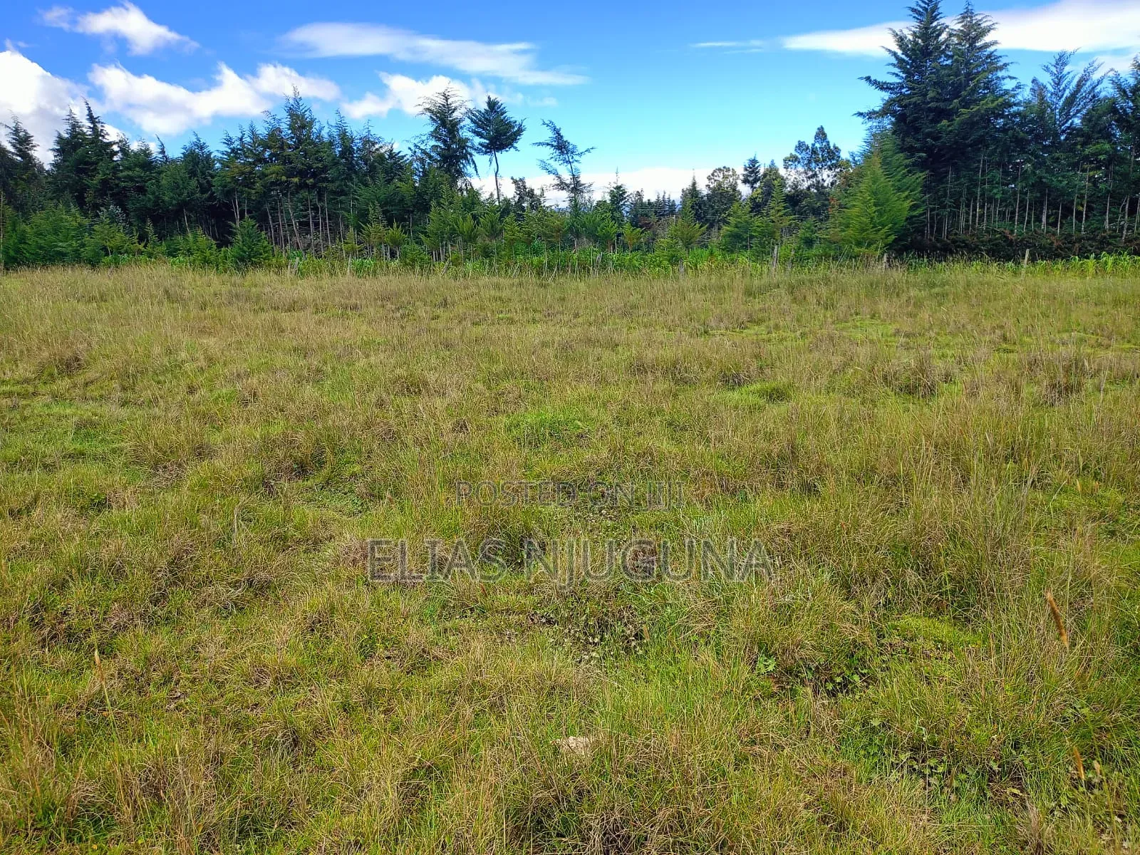 18 ACRES OLKALOU( NORTH Kinangop Ndunyu Njeru 500 Metres From Tarmac. in North Kinangop