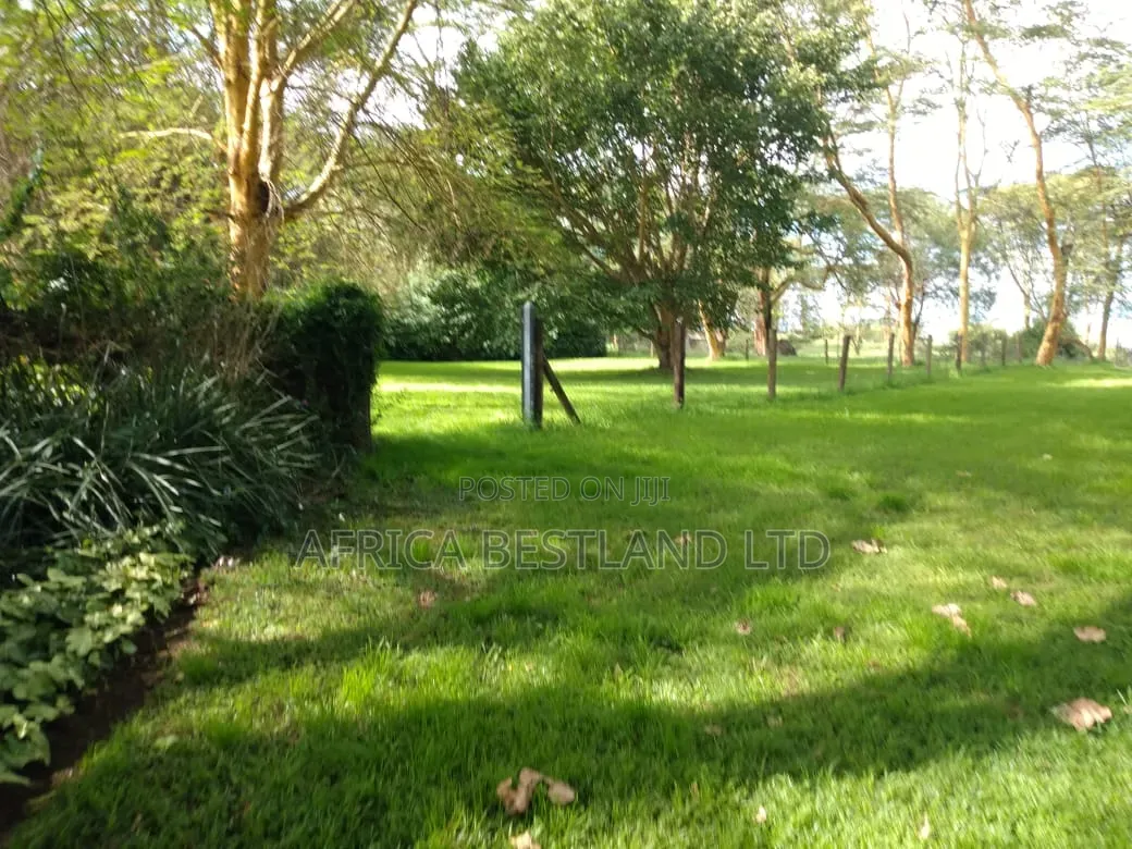 Acres for Sale – Lake Naivasha | KSH 300m in Lake View