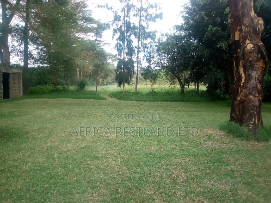 Acres for Sale – Lake Naivasha | KSH 300m in Lake View