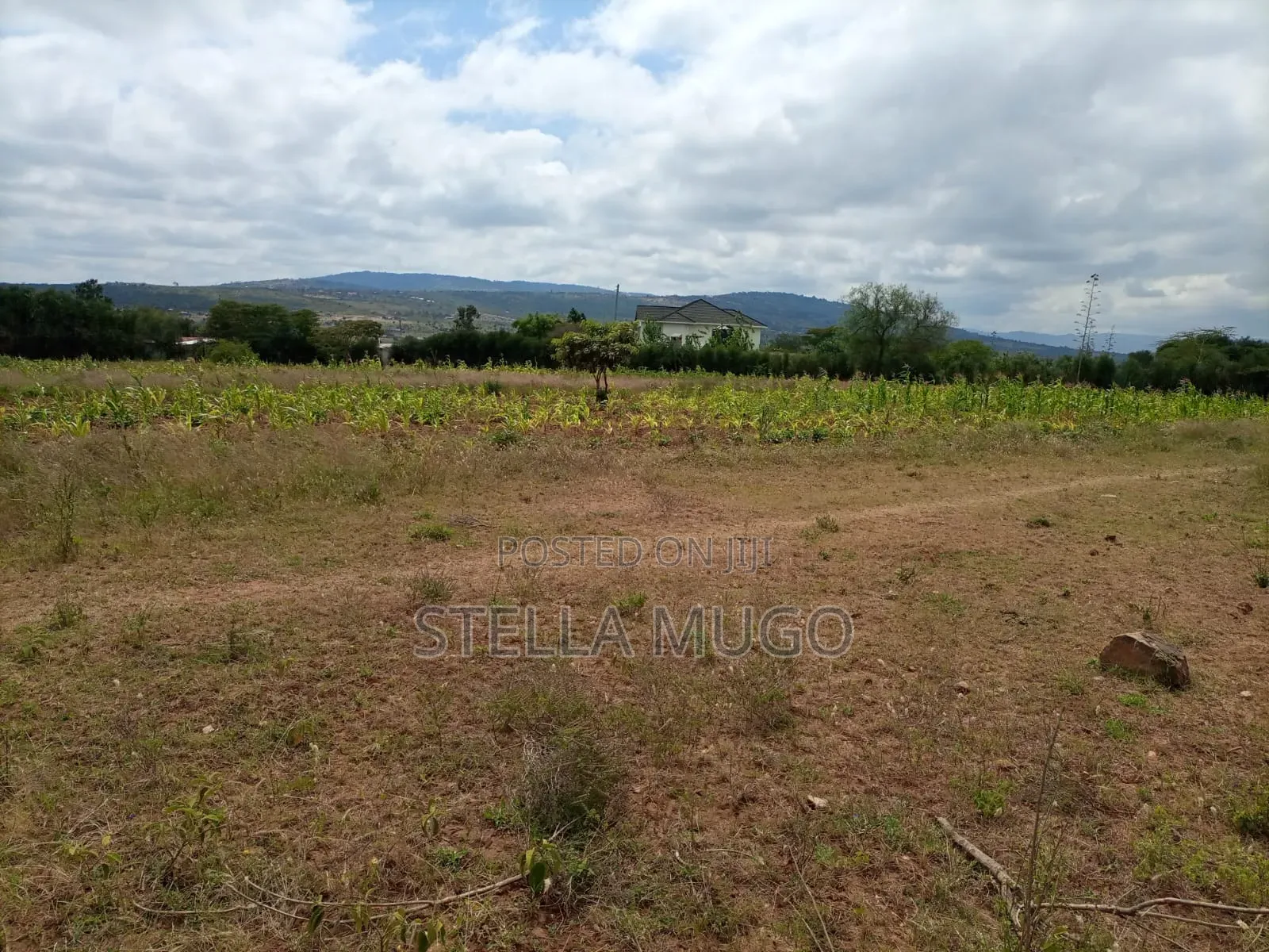 Land for Sale in Kibarani