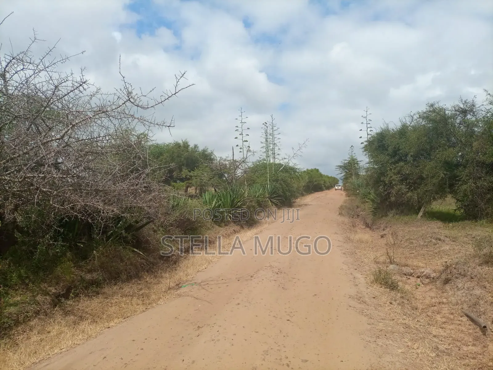 Land for Sale in Kibarani