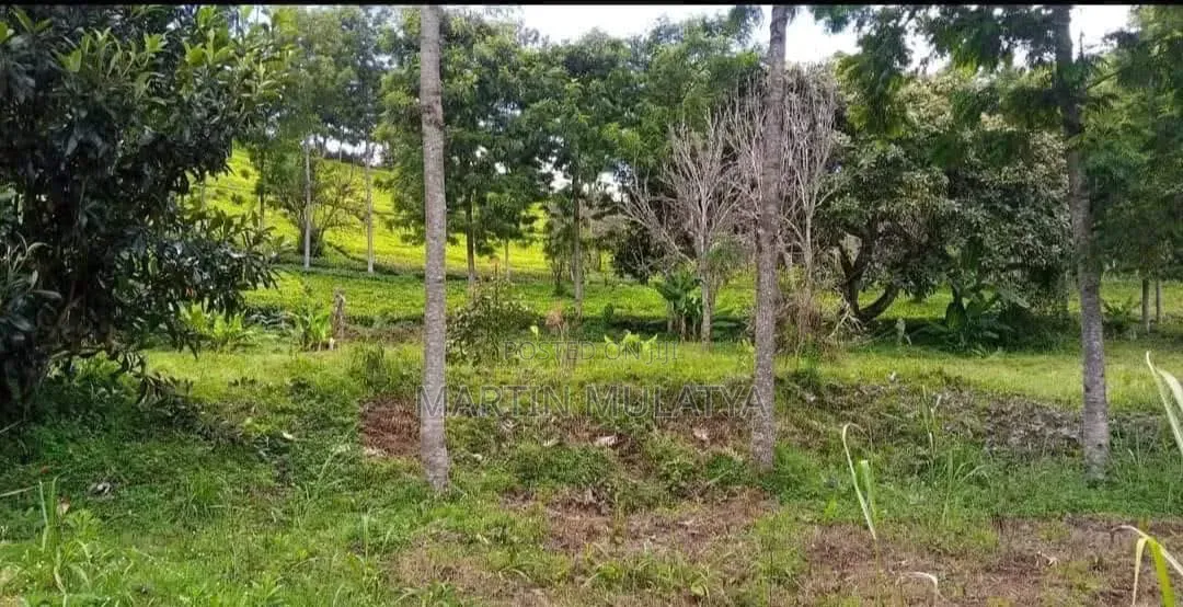 Land for Sell in Kiambu CBD