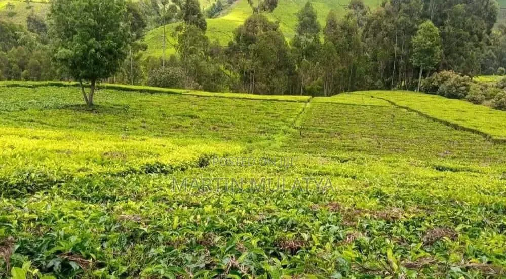 Land for Sell in Kiambu CBD