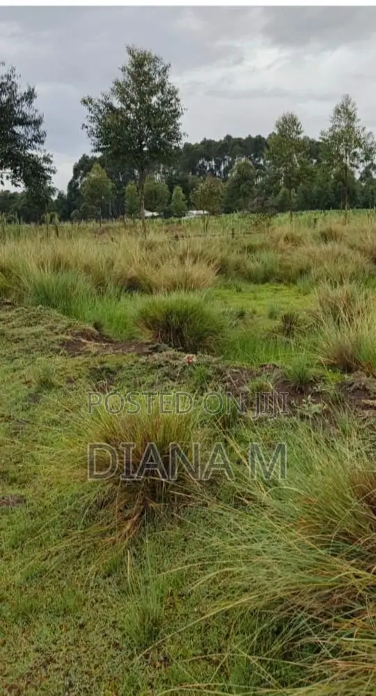 15 Acres on Sale in Rurii Nyandarua in Rurii