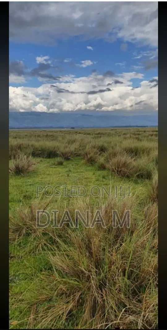 15 Acres on Sale in Rurii Nyandarua in Rurii