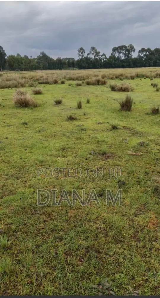 15 Acres on Sale in Rurii Nyandarua in Rurii