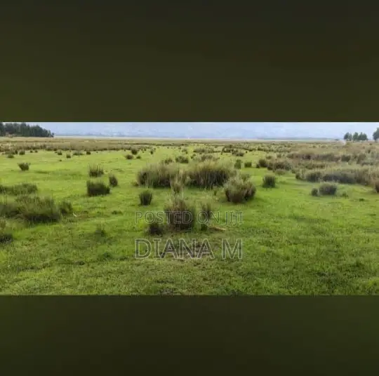 15 Acres on Sale in Rurii Nyandarua in Rurii
