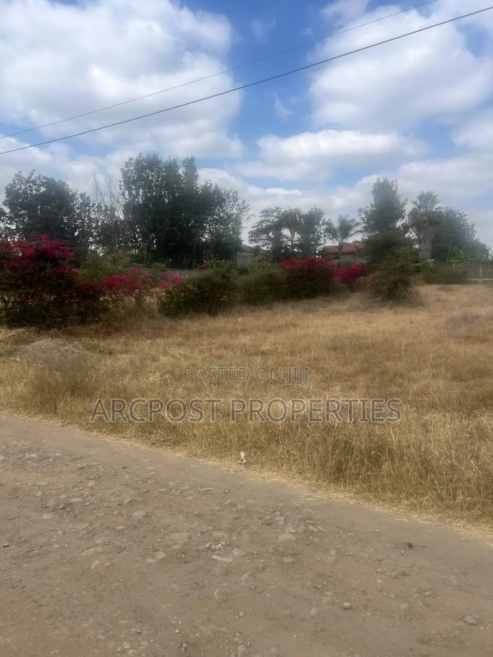 1 Acre Residential Land for Sale Along Masailodge Road in Maasai Lodge