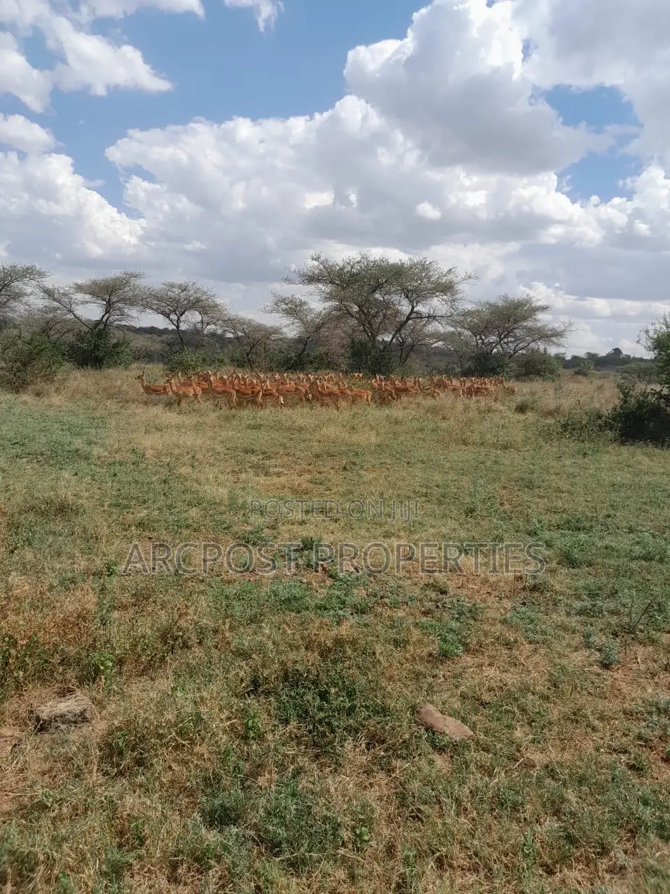 15 Acres for Sale Near Masai Lodge – Bordering Nairobi National Park in Maasai Lodge