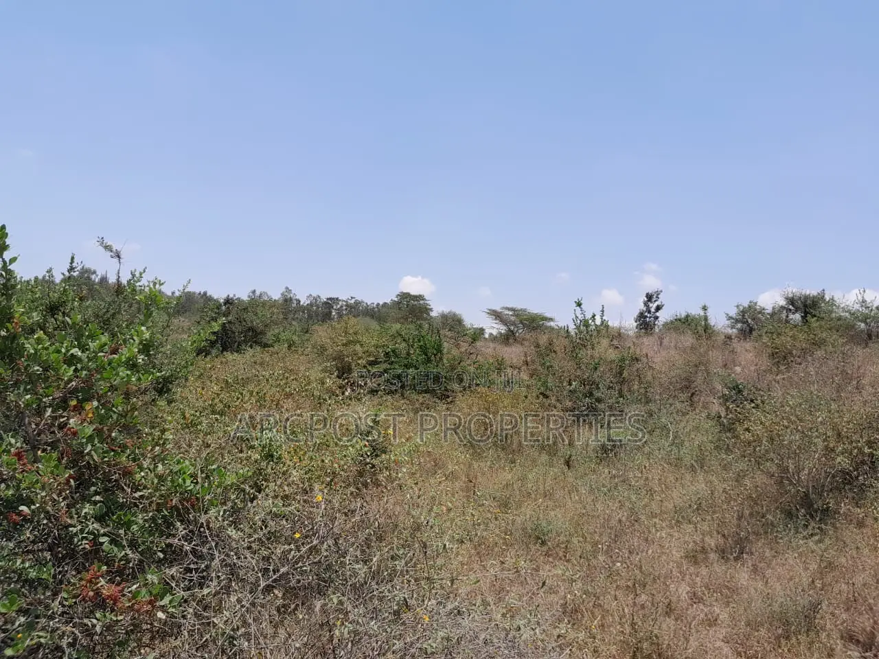 15 Acres for Sale Near Masai Lodge – Bordering Nairobi National Park in Maasai Lodge