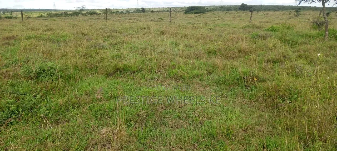 100 Acres of Prime Land for Sale in Kipeto Kiserian in Kiserian