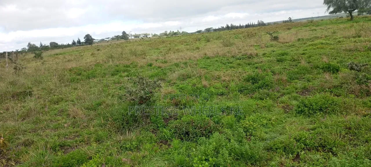 100 Acres of Prime Land for Sale in Kipeto Kiserian in Kiserian