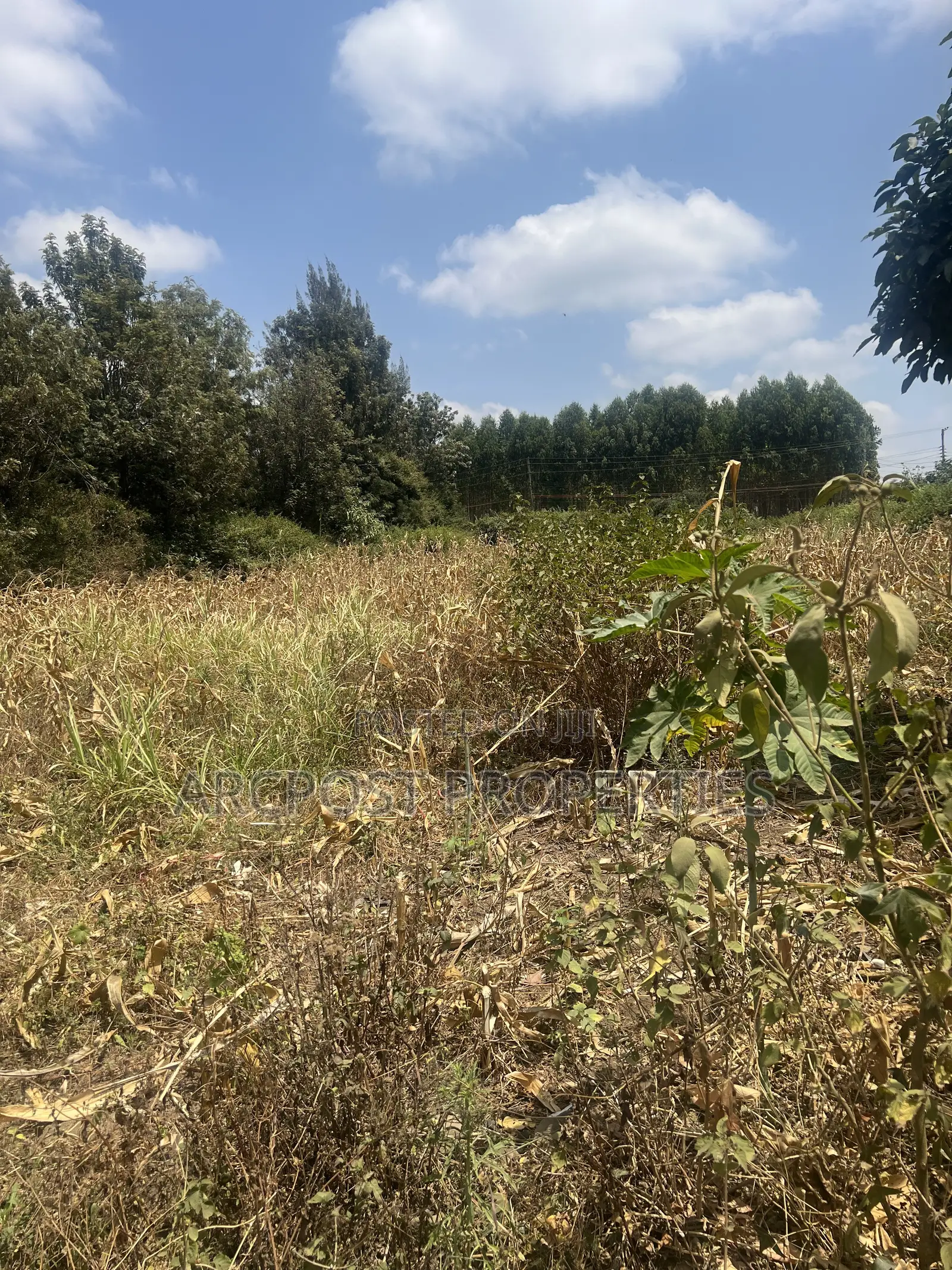 1⁄8 Acre Plot for Sale Near Millenial Hotel, Ongata Rongai in Gataka