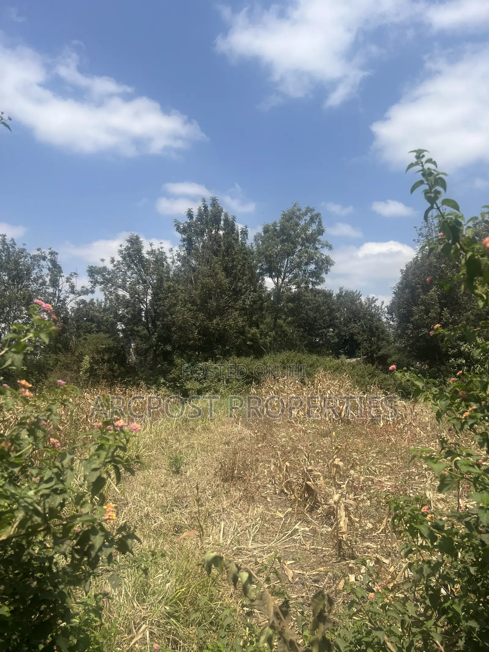 1⁄8 Acre Plot for Sale Near Millenial Hotel, Ongata Rongai in Gataka
