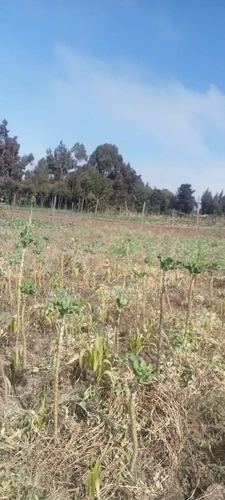 Land on Sale at Nyandarua Kinangop in Magumu
