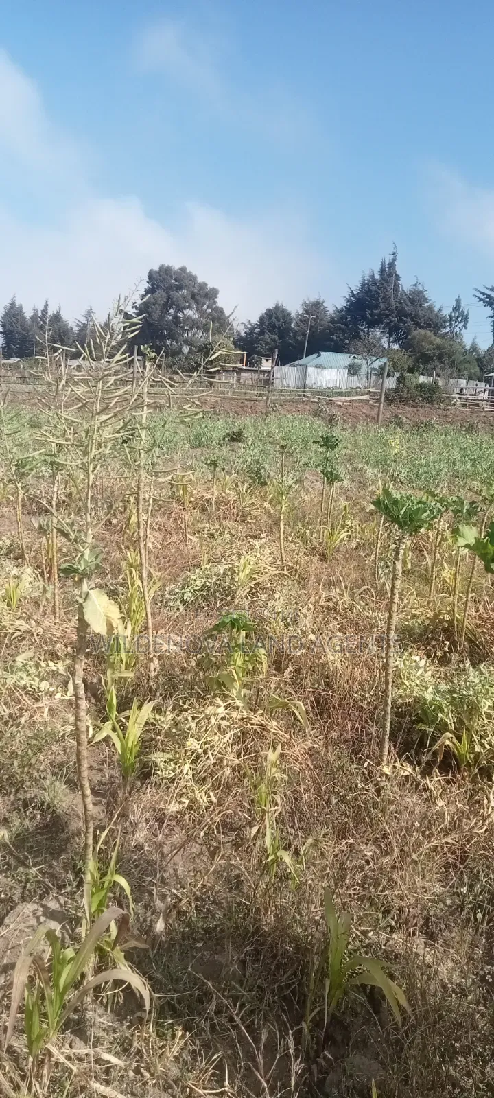 Land on Sale at Nyandarua Kinangop in Magumu