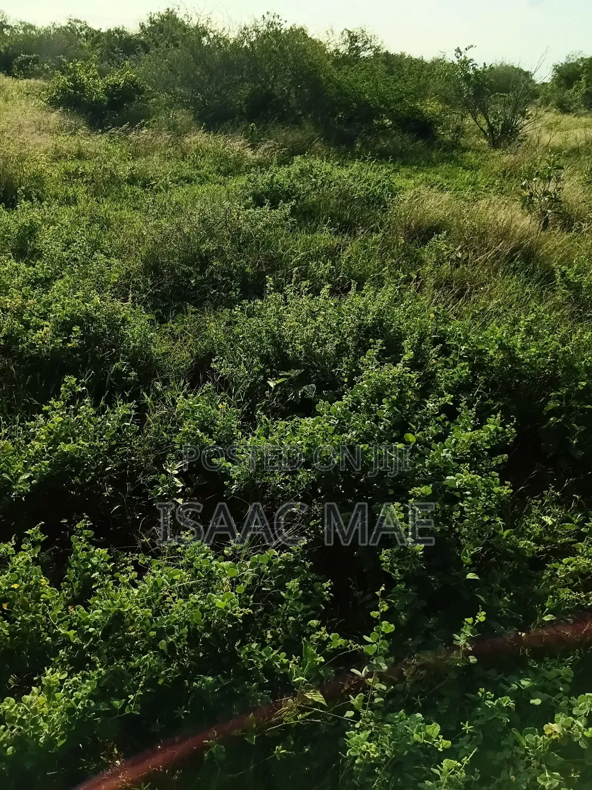 2 Acres for Sale With Ready Tittle Deed Per Acre in Jilore