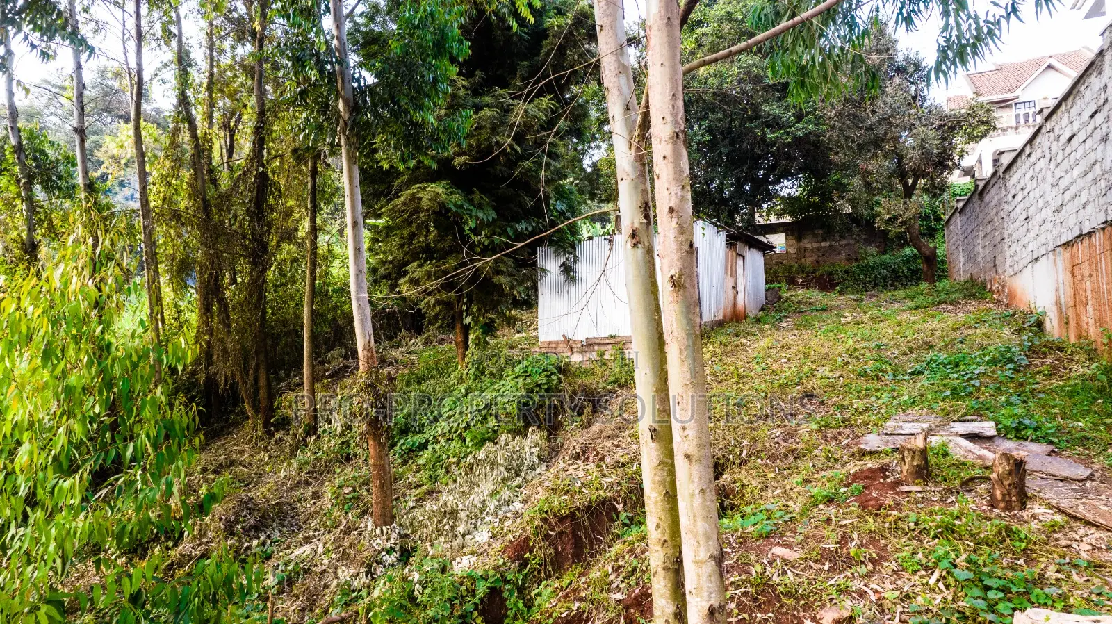 Prime Plot for Sale in Kikuyu Town in Kikuyu