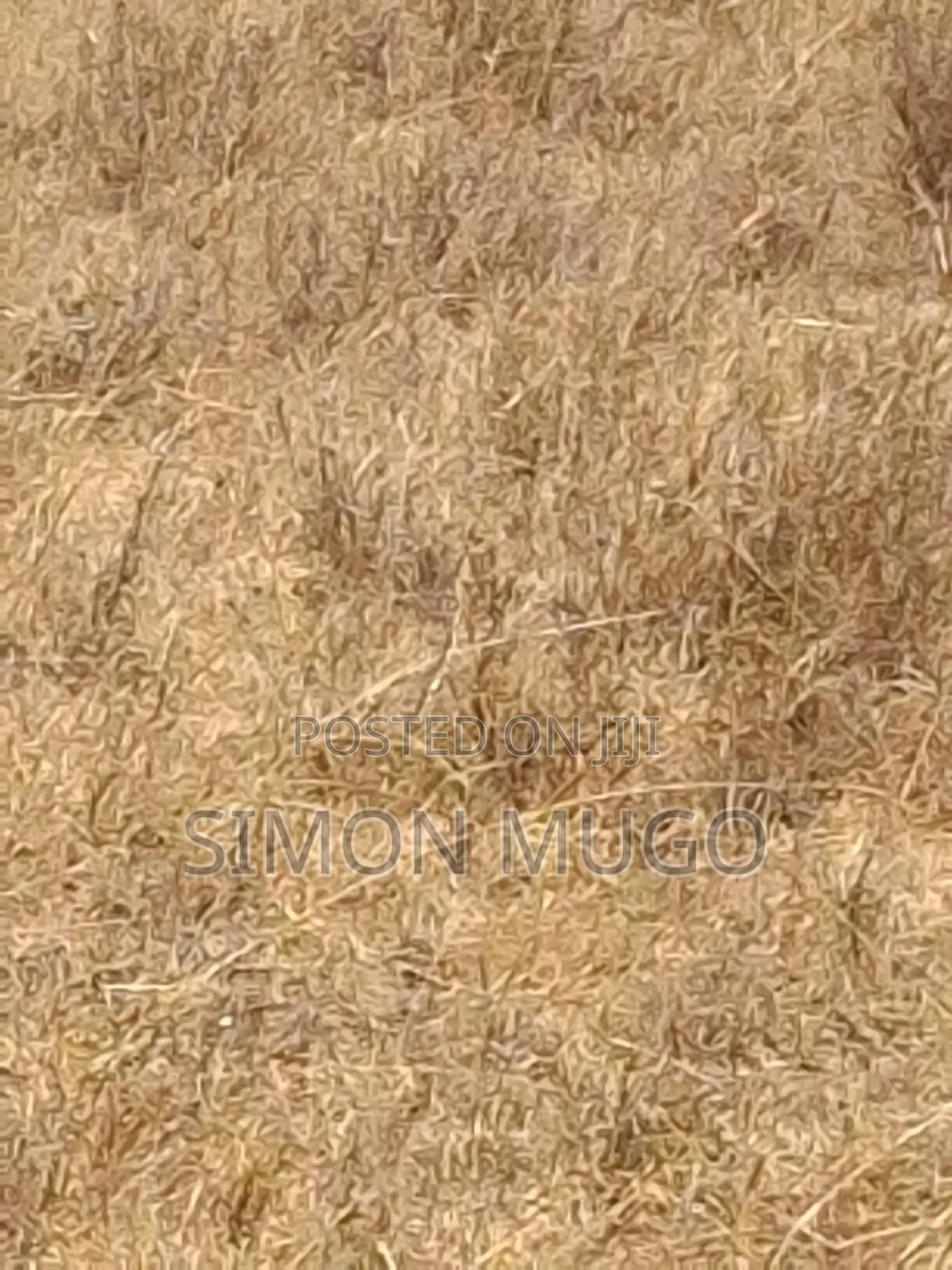 Malaa Kangundo Rd Prime 50x100 Behind KBC in Malaa