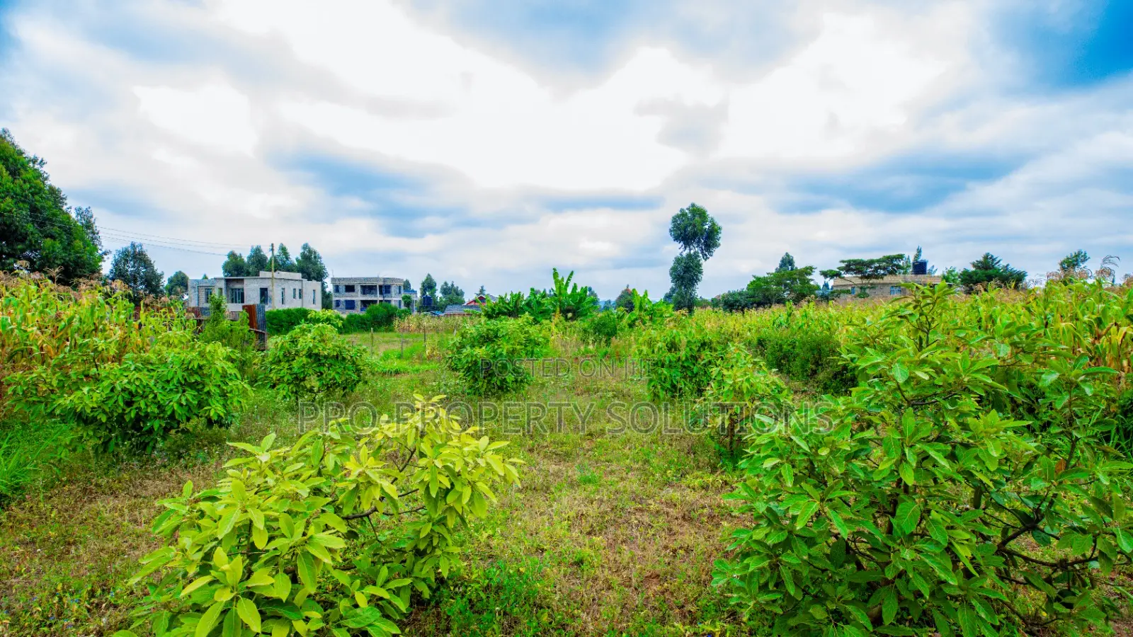 Prime Residential Plot for Sale in Kikuyu Near Kari in Kikuyu