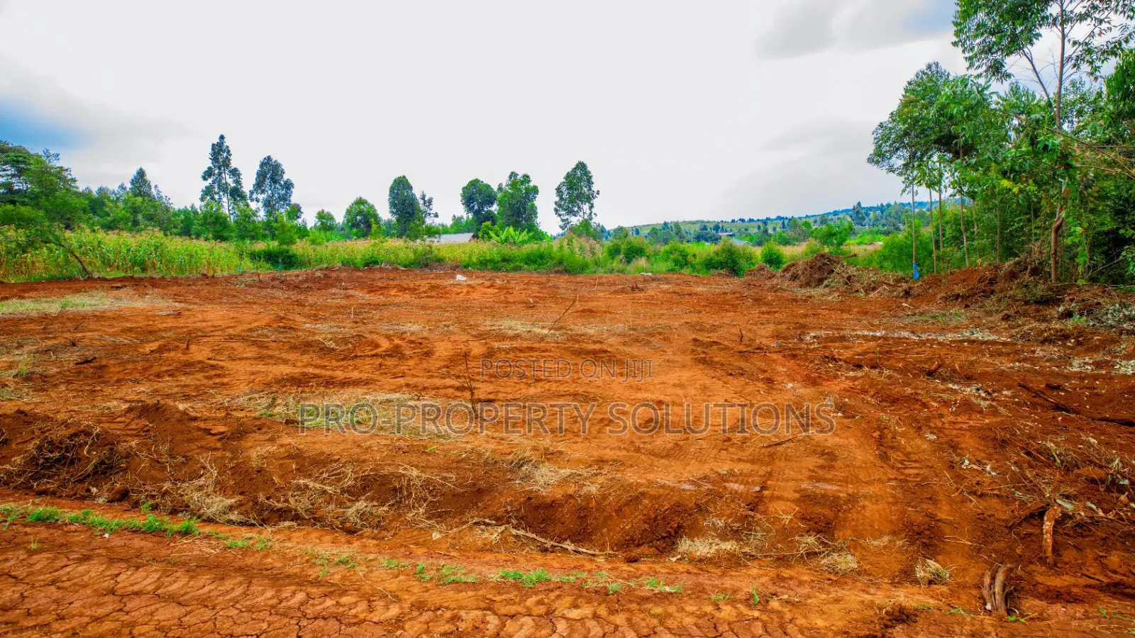Prime Residential Plot for Sale in Kikuyu, Migumoini in Kikuyu