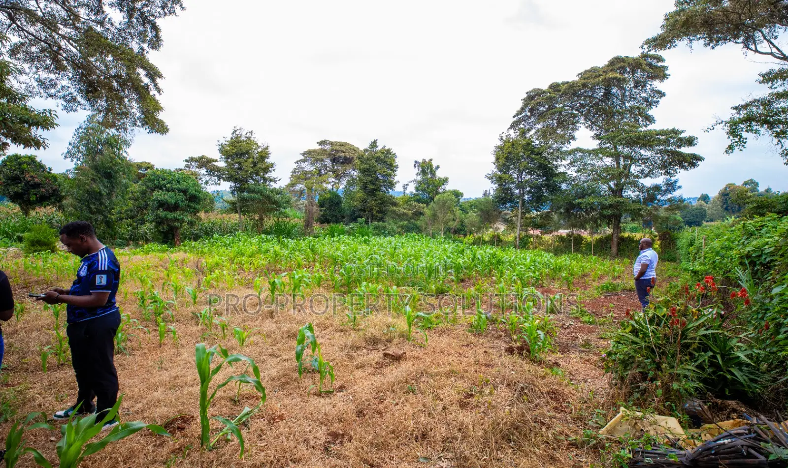 Prime Residential Plot for Sale in Kikuyu, Ondiri in Kikuyu