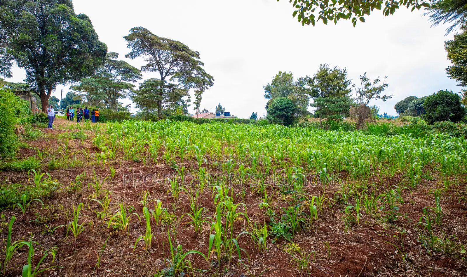 Prime Residential Plot for Sale in Kikuyu, Ondiri in Kikuyu